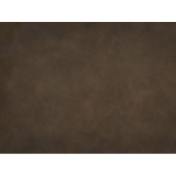 013_Gjengrodde_stier